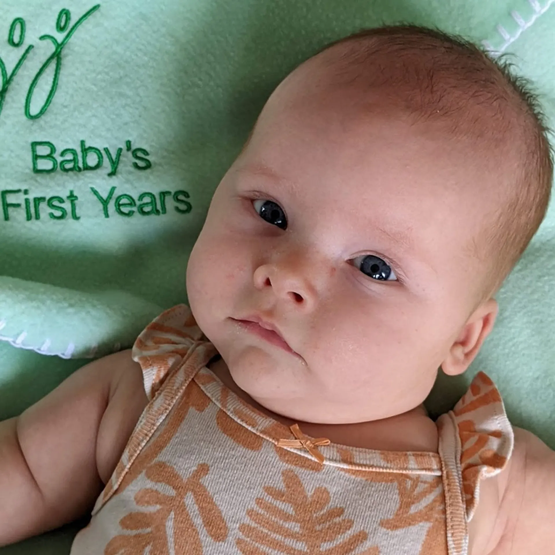 Baby's First Year